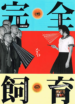 禁室培欲 | The Perfect Education | jinshipeiyu