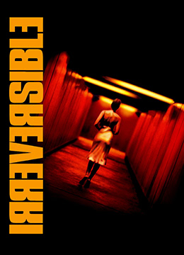 不可撤销 | Irréversible | bukechexiao