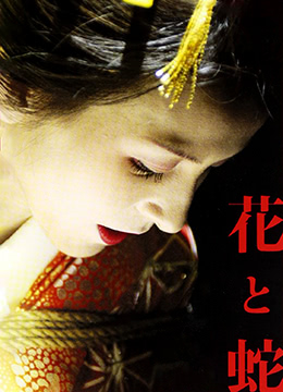 花与蛇 | Hana to hebi | huayushe